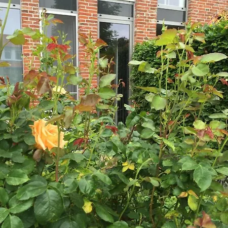 Kapitaenshaus Mit Hafenblick Greetsiel