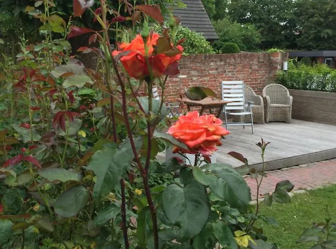 Kapitaenshaus Mit Hafenblick 公寓 *