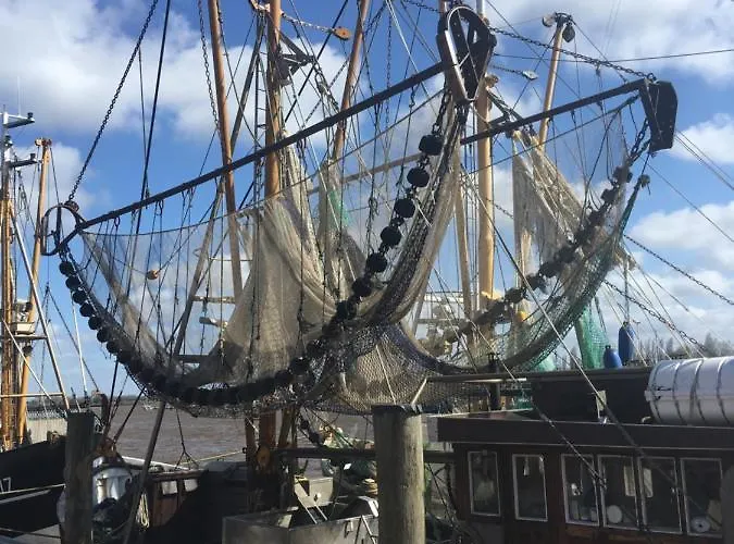 Kapitaenshaus Mit Hafenblick Appartamento *