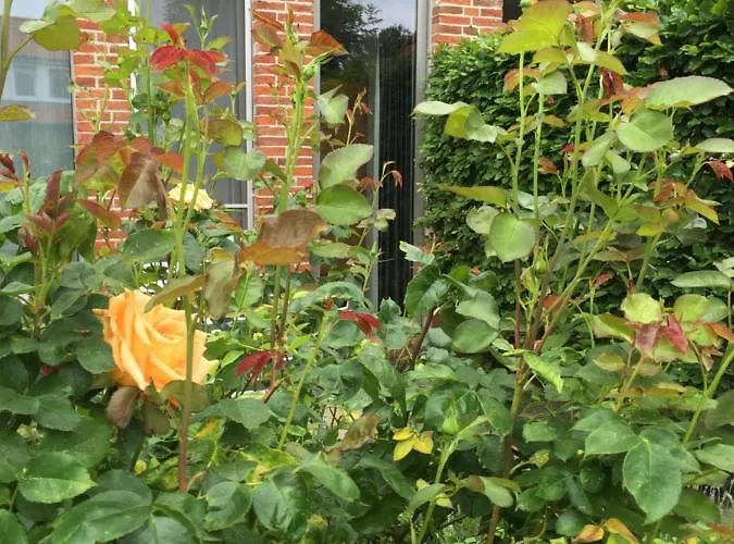 Kapitaenshaus Mit Hafenblick Greetsiel